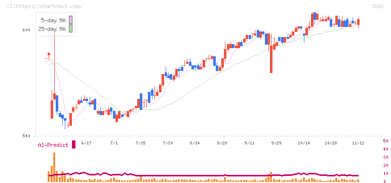 大光(3160)の日足チャート