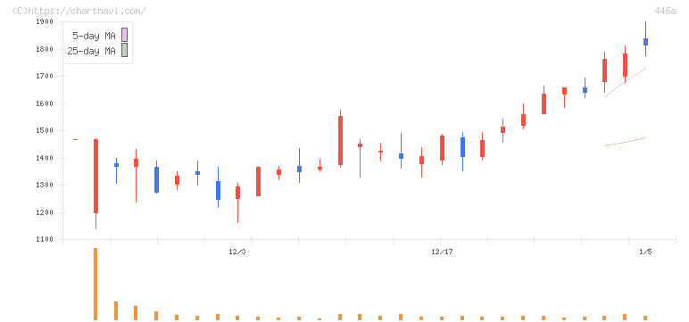 ノースサンド(446A)の日足チャート