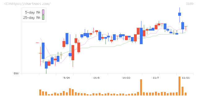 大光(3160)の日足チャート