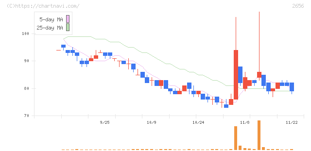 ベクターホールディングス(2656)の日足チャート