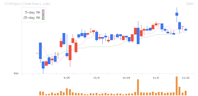 大光(3160)の日足チャート