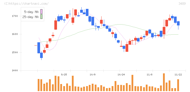 フェイスネットワーク(3489)の日足チャート
