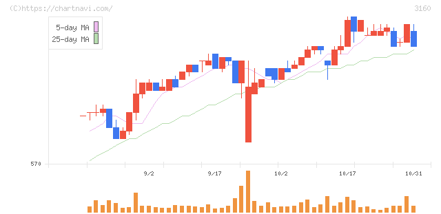 大光(3160)の日足チャート