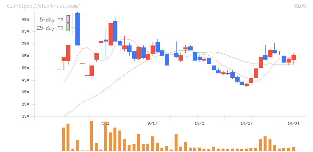 堀田丸正(8105)の日足チャート