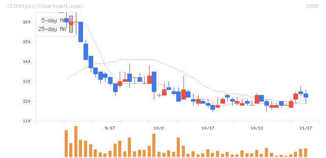 ベクターホールディングス(2656)の日足チャート