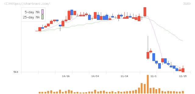 大光(3160)の日足チャート