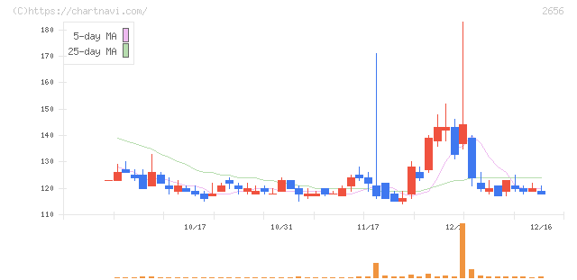 ベクターホールディングス(2656)の日足チャート