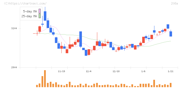 構造計画研究所ホールディングス(208A)の日足チャート
