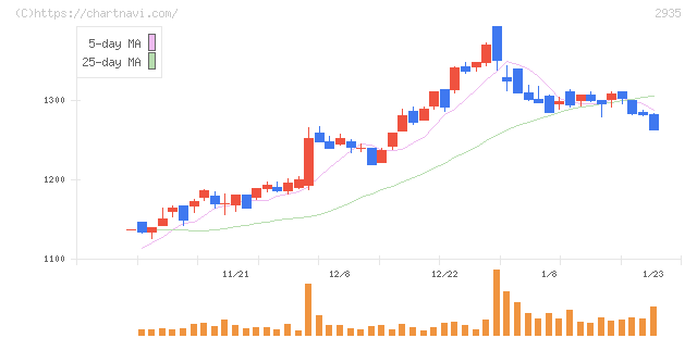 ピックルスホールディングス(2935)の日足チャート