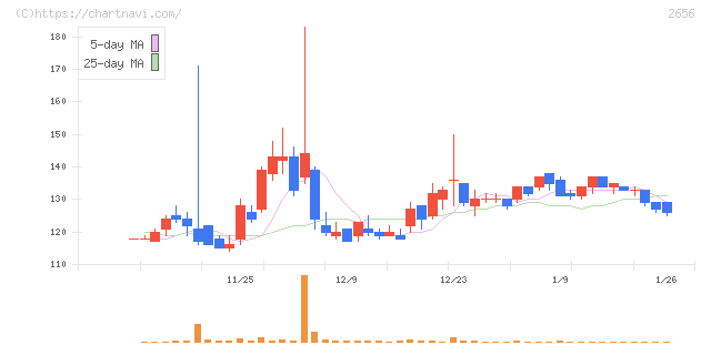ベクターホールディングス(2656)の日足チャート
