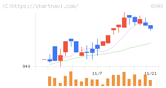 日本スキー場開発(6040)の日足チャート