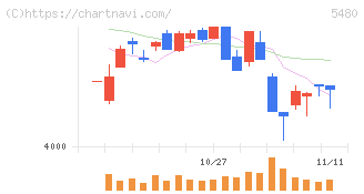 日本冶金工業(5480)の日足チャート