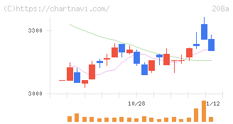 構造計画研究所ホールディングス(208A)の日足チャート