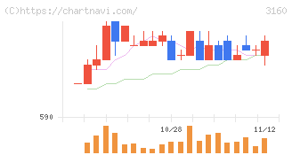 大光(3160)の日足チャート