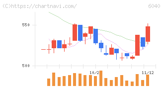 日本スキー場開発(6040)の日足チャート