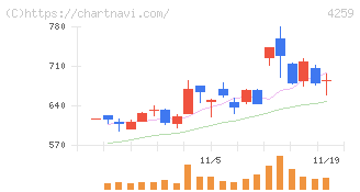 エクサウィザーズ(4259)の日足チャート