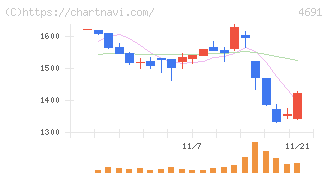 ワシントンホテル(4691)の日足チャート