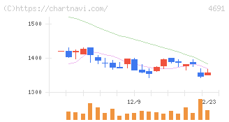 ワシントンホテル(4691)の日足チャート