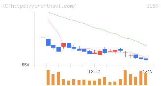 大光(3160)の日足チャート