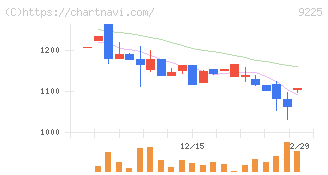 ブリッジコンサルティンググループ(9225)の日足チャート