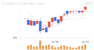 ＭｒＭａｘＨＤ(8203)の日足チャート