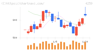 エクサウィザーズ(4259)の日足チャート