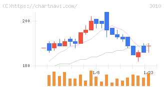 ポラリス・ホールディングス(3010)の日足チャート