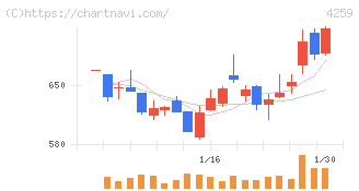 エクサウィザーズ(4259)の日足チャート
