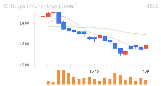 ワシントンホテル(4691)の日足チャート