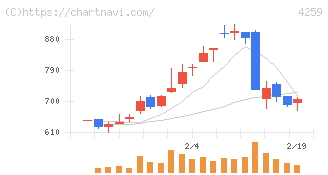 エクサウィザーズ(4259)の日足チャート
