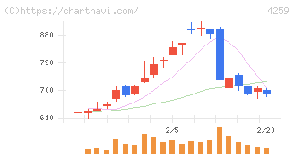 エクサウィザーズ(4259)の日足チャート