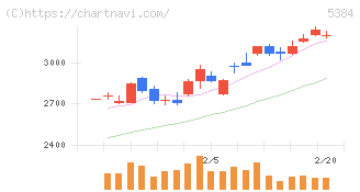 フジミインコーポレーテッド(5384)の日足チャート