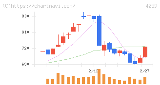 エクサウィザーズ(4259)の日足チャート