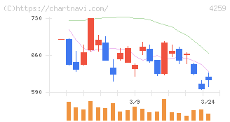 エクサウィザーズ(4259)の日足チャート