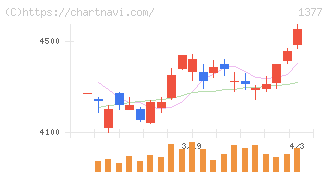 サカタのタネ(1377)の日足チャート